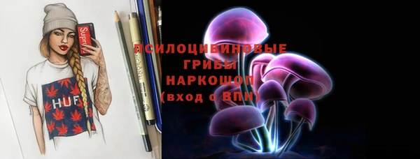 крисы Алзамай