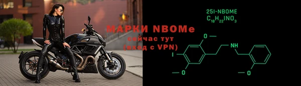 крисы Алзамай